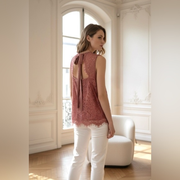 Alice Blue Dimina Lace Blouse Size LARGE Mauve Pink Open Back - Picture 1 of 10